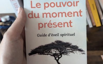 Se libérer du mental : ce que je retiens d&rsquo;Eckhart Tolle